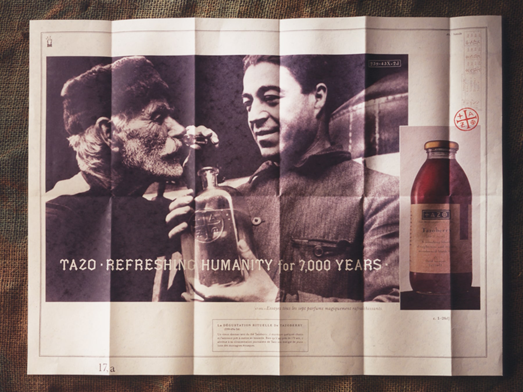 Tazo Tea brochure design tazoberry